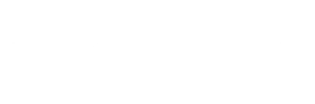 Deimon Store